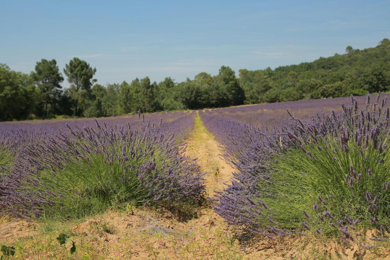 Les Yourtes De Provence Bed and Breakfast Saint-Paulet-de-Caisson Exterior foto